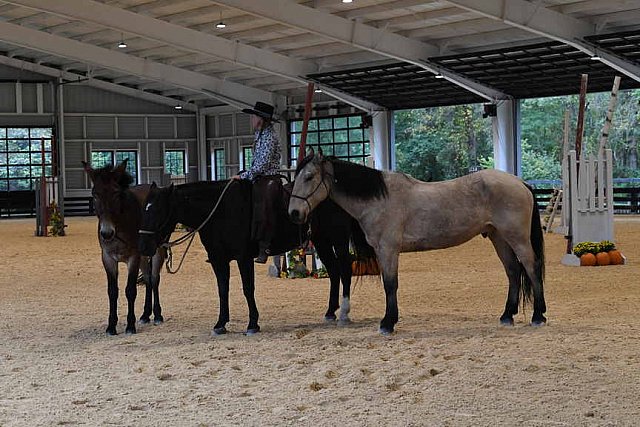 MUSTANG-10-11-21-5485-DDeRosaPhoto