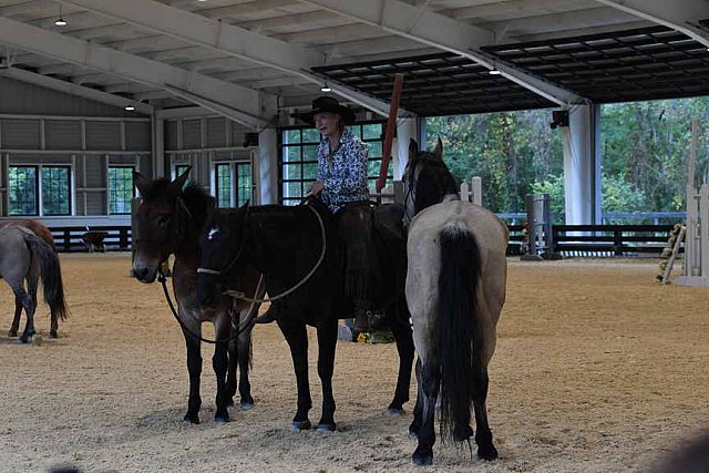 MUSTANG-10-11-21-5486-DDeRosaPhoto