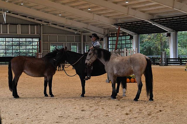 MUSTANG-10-11-21-5488-DDeRosaPhoto