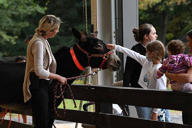 MUSTANG-10-11-21-5504-DDeRosaPhoto