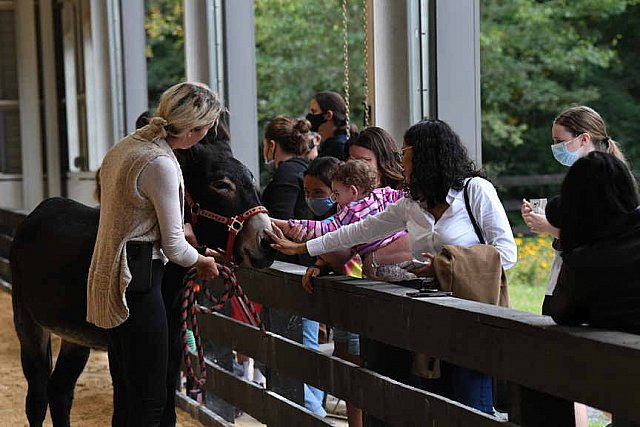 MUSTANG-10-11-21-5512-DDeRosaPhoto