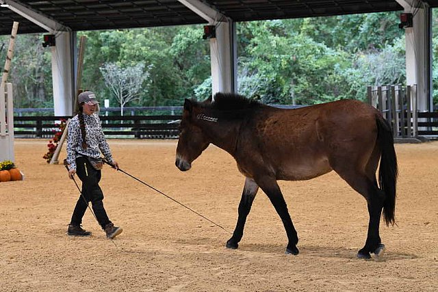 MUSTANG-10-11-21-5517-DDeRosaPhoto