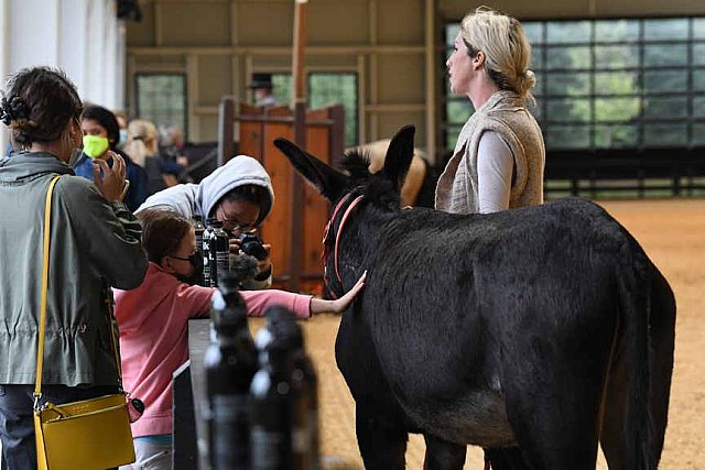 MUSTANG-10-11-21-5523-DDeRosaPhoto