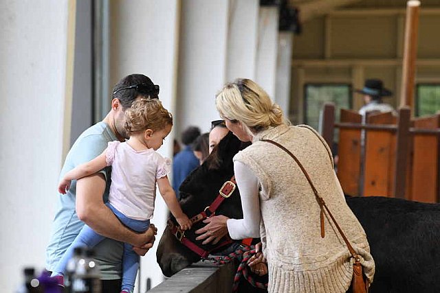 MUSTANG-10-11-21-5529-DDeRosaPhoto