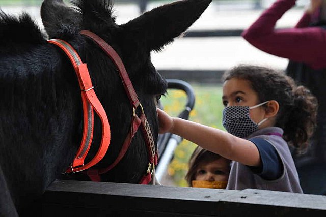 MUSTANG-10-11-21-5532-DDeRosaPhoto