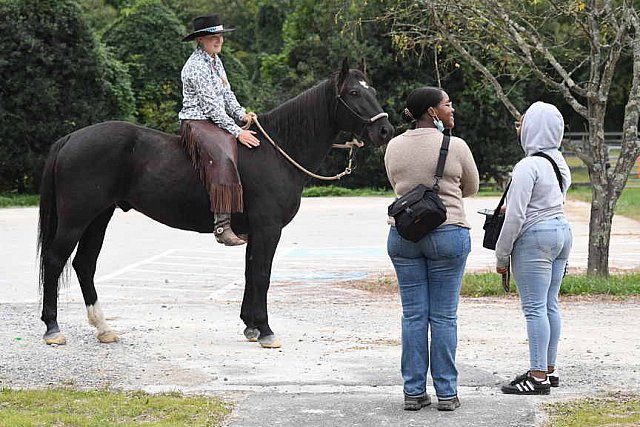MUSTANG-10-11-21-5549-DDeRosaPhoto