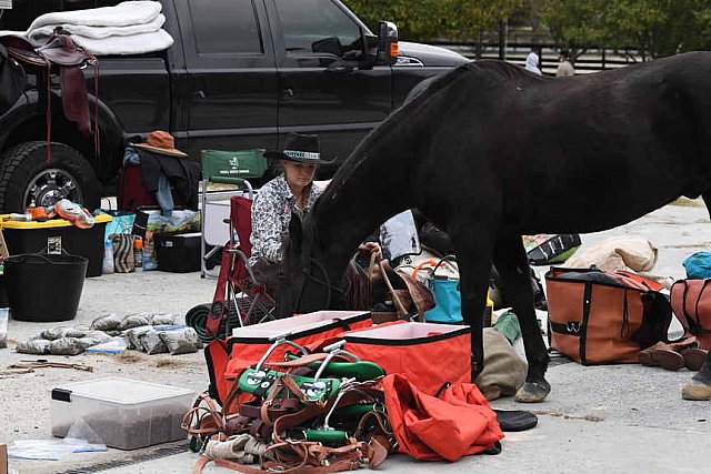 MUSTANG-10-11-21-5553-DDeRosaPhoto