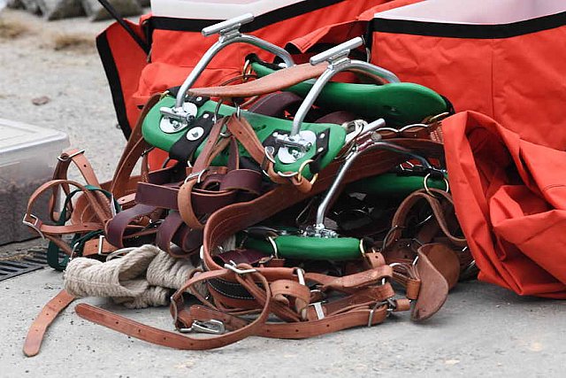 MUSTANG-10-11-21-5554-DDeRosaPhoto