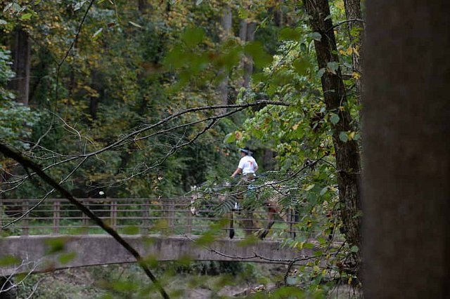 MUSTANG-10-12-21-2790-DDeRosaPhoto