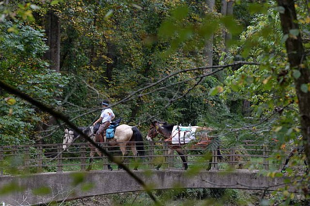 MUSTANG-10-12-21-2797-DDeRosaPhoto
