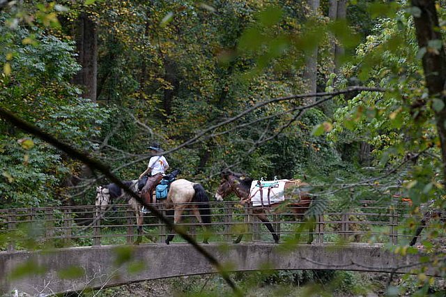 MUSTANG-10-12-21-2798-DDeRosaPhoto
