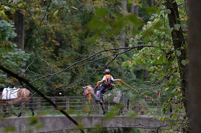 MUSTANG-10-12-21-2804-DDeRosaPhoto