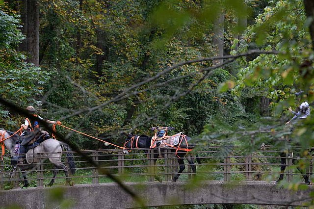 MUSTANG-10-12-21-2810-DDeRosaPhoto