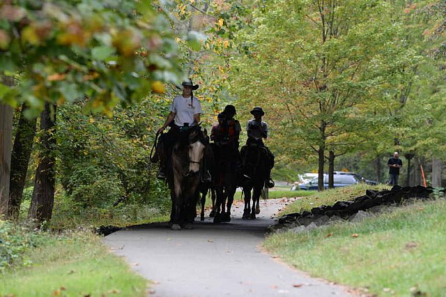 MUSTANG-10-12-21-2838-DDeRosaPhoto