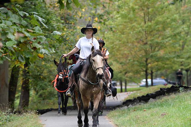MUSTANG-10-12-21-2851-DDeRosaPhoto