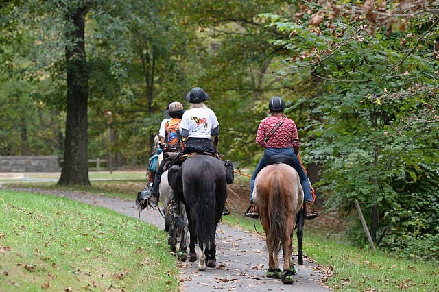 MUSTANG-10-12-21-2861-DDeRosaPhoto