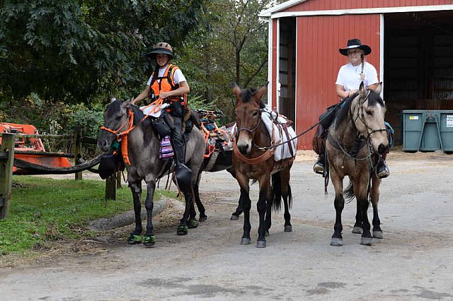 MUSTANG-10-12-21-2870-DDeRosaPhoto