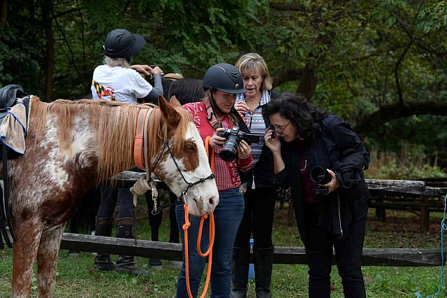 MUSTANG-10-12-21-2873-DDeRosaPhoto
