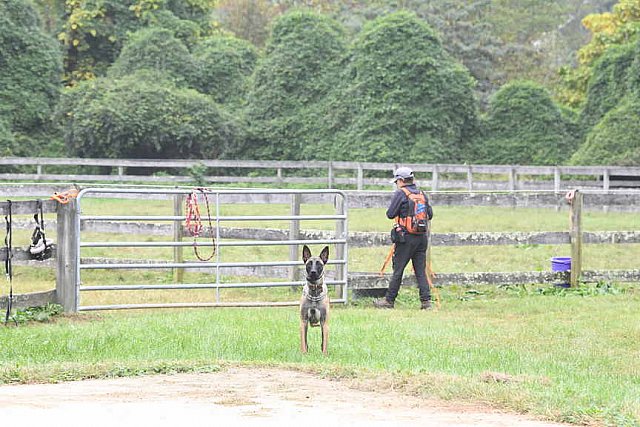 MUSTANG-10-12-21-5564-DDeRosaPhoto