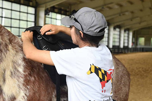 MUSTANG-10-12-21-5571-DDeRosaPhoto