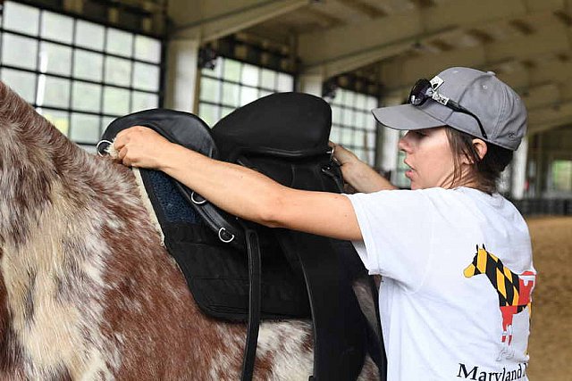 MUSTANG-10-12-21-5572-DDeRosaPhoto