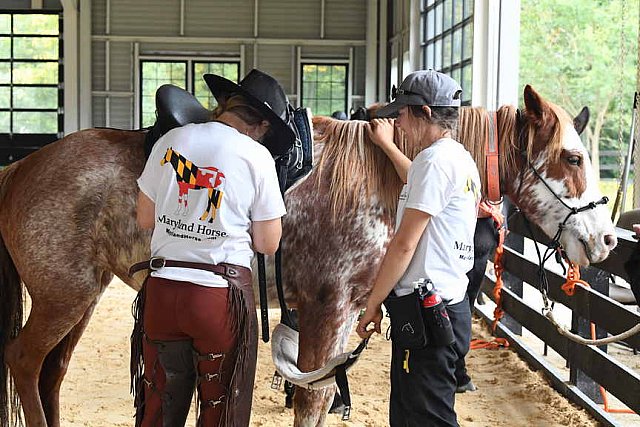 MUSTANG-10-12-21-5602-DDeRosaPhoto