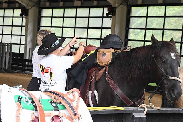 MUSTANG-10-12-21-5609-DDeRosaPhoto