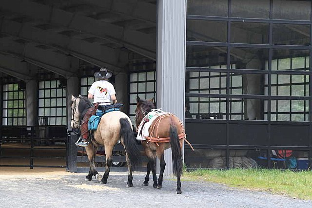 MUSTANG-10-12-21-5618-DDeRosaPhoto