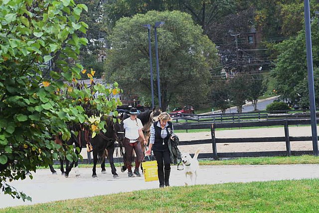 MUSTANG-10-12-21-5619-DDeRosaPhoto