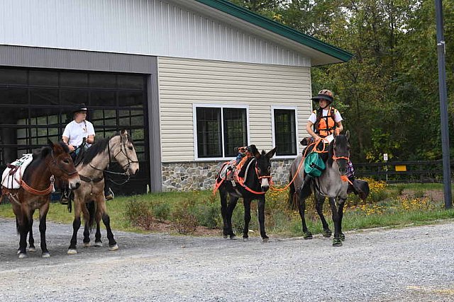 MUSTANG-10-12-21-5638-DDeRosaPhoto