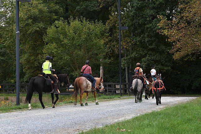 MUSTANG-10-12-21-5645-DDeRosaPhoto