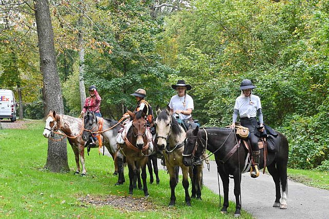 MUSTANG-10-12-21-5652-DDeRosaPhoto