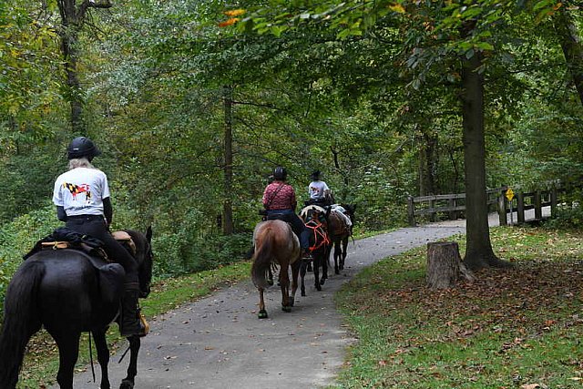 MUSTANG-10-12-21-5653-DDeRosaPhoto