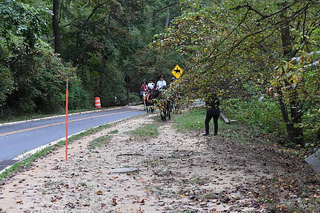 MUSTANG-10-12-21-5657-DDeRosaPhoto