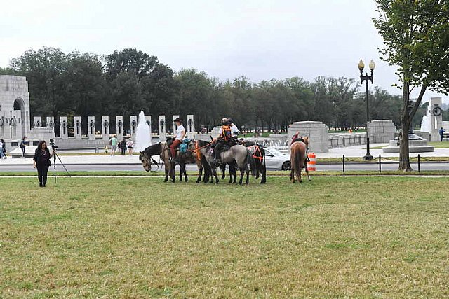 MUSTANG-10-12-21-5682-DDeRosaPhoto