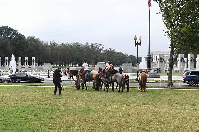 MUSTANG-10-12-21-5684-DDeRosaPhoto