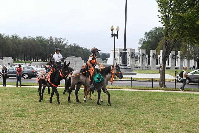 MUSTANG-10-12-21-5687-DDeRosaPhoto