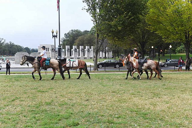 MUSTANG-10-12-21-5691-DDeRosaPhoto