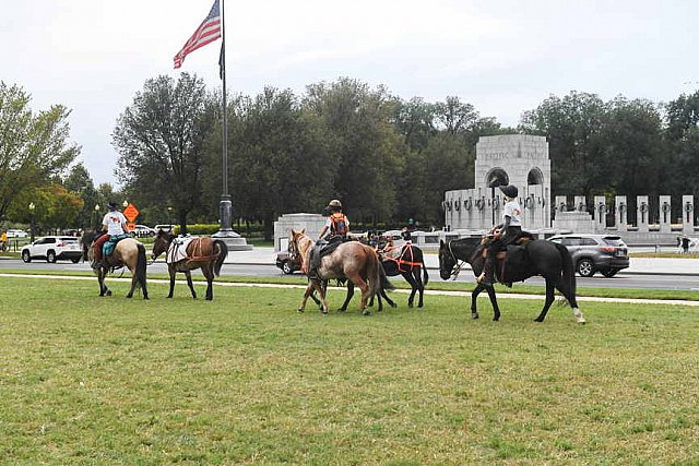 MUSTANG-10-12-21-5696-DDeRosaPhoto