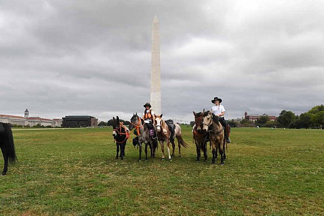 MUSTANG-10-12-21-5701-DDeRosaPhoto