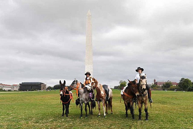MUSTANG-10-12-21-5704-DDeRosaPhoto