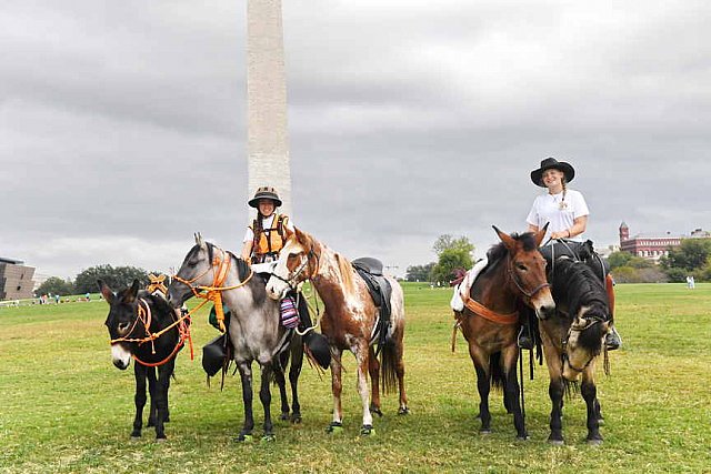 MUSTANG-10-12-21-5707-DDeRosaPhoto