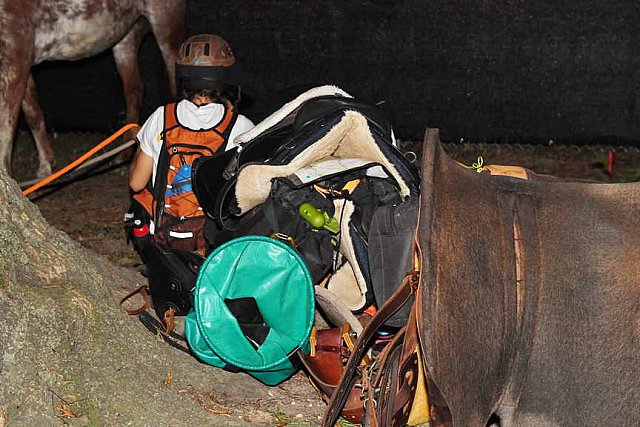 MUSTANG-10-12-21-5716-DDeRosaPhoto