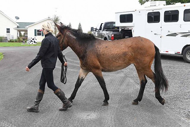 MUSTANG-10-13-21-5729-DDeRosaPhoto