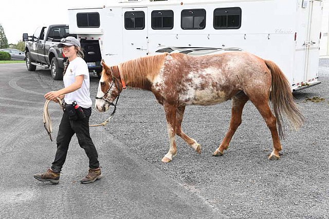 MUSTANG-10-13-21-5739-DDeRosaPhoto