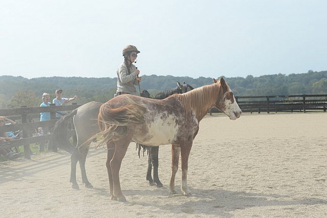MUSTANG-HANNAH DEMO-10-15-21-2960-DDeRosaPhoto