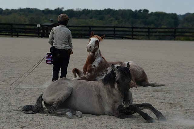 MUSTANG-HANNAH DEMO-10-15-21-2994-DDeRosaPhoto