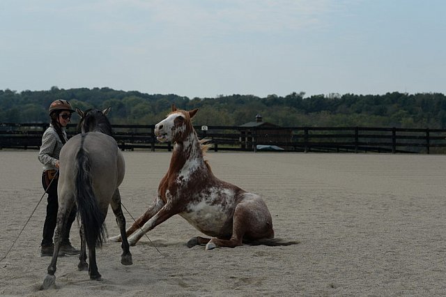 MUSTANG-HANNAH DEMO-10-15-21-2999-DDeRosaPhoto