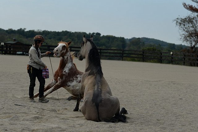 MUSTANG-HANNAH DEMO-10-15-21-3001-DDeRosaPhoto