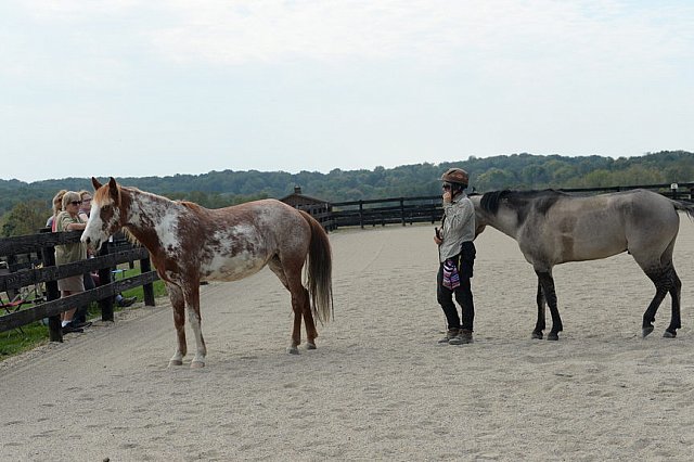 MUSTANG-HANNAH DEMO-10-15-21-3025-DDeRosaPhoto